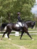 IMG_1309 IMG_1309