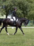 IMG_1310 IMG_1310