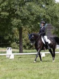 IMG_1311 IMG_1311