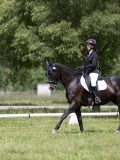 IMG_1312 IMG_1312