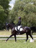 IMG_1313 IMG_1313