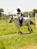 DSC01154 DSC01154