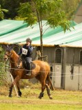DSC07340