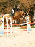 DSC07345 DSC07345