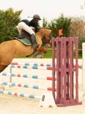 DSC07354 DSC07354