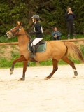 DSC07355 DSC07355