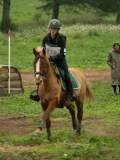 DSC08258 DSC08258