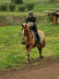 DSC08259 DSC08259