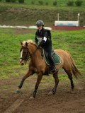 DSC08268 DSC08268