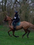 IMG_0629 IMG_0629