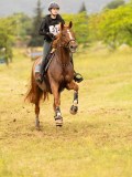 DSC08281