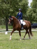 IMG_1320 IMG_1320