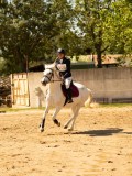 DSC09394 DSC09394