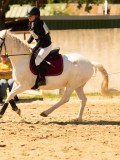 DSC09404 DSC09404