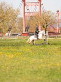 SGE04967