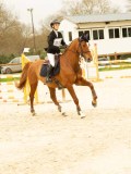 DSC07625 DSC07625