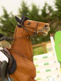 DSC07626 DSC07626