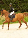 DSC07628 DSC07628