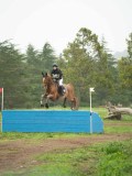 DSC08447 DSC08447