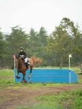 DSC08448 DSC08448