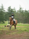 DSC08449 DSC08449