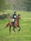 DSC08451 DSC08451