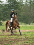 DSC08456 DSC08456