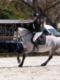 3FT09229