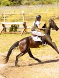 DSC03713 DSC03713