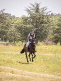 IMG_9419 IMG_9419