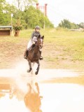 DSC08378 DSC08378