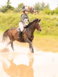 DSC08379 DSC08379