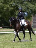 IMG_1343 IMG_1343