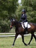 IMG_1344 IMG_1344