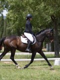IMG_1346 IMG_1346