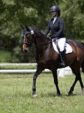 IMG_1348 IMG_1348
