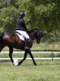 IMG_1351 IMG_1351
