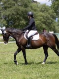 IMG_1355 IMG_1355