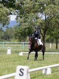 IMG_1356 IMG_1356