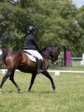 IMG_1360 IMG_1360