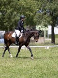 IMG_1361 IMG_1361