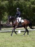 IMG_1362 IMG_1362