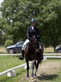 IMG_1363 IMG_1363