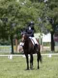 IMG_1365 IMG_1365