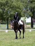 IMG_1366 IMG_1366