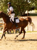 DSC09384 DSC09384