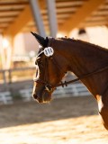 DSC02539 DSC02539