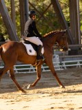 DSC02544 DSC02544
