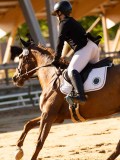 DSC02553 DSC02553