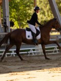 DSC02555 DSC02555
